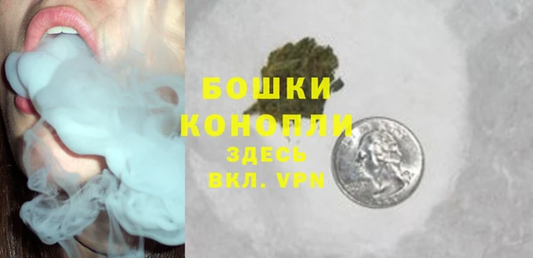 apvp Почеп