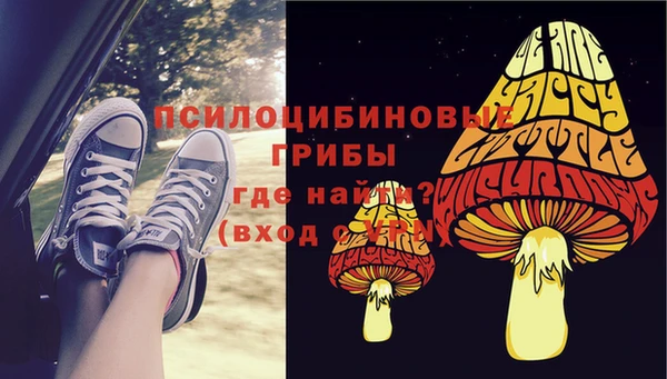 гашик Нягань
