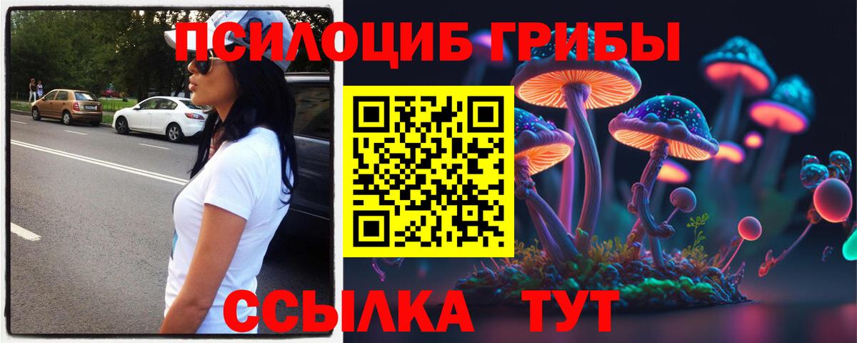 Псилоцибиновые грибы ЛСД  Псилоцибиновые грибы мицелий  Саратов  Вход с VPN 