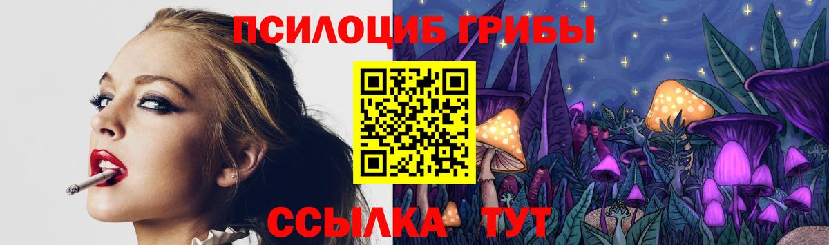 Галлюциногенные грибы мухоморы Саратов